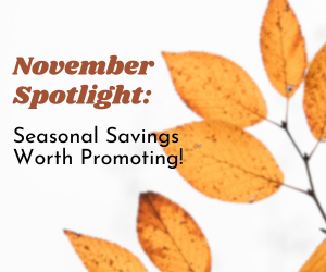 November Spotlight: Seasonal Savings Worth Promoting